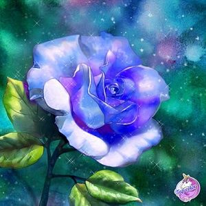 Meet your Posher, Hazel